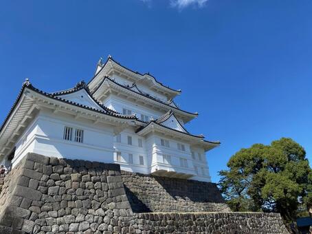 小田原城 城,風景,小田原の写真素材