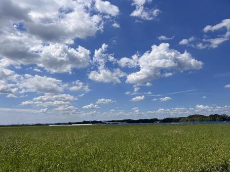 夏の青空と白い雲 夏の青空と白い雲の写真