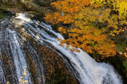 秋の関山大滝⒀ 秋,紅葉,滝の写真素材