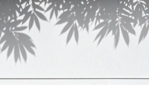白い壁に映る植物のシルエットが美しい背景 白い壁に映る植物のシルエットが美しい背景の写真