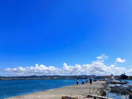 夏の風景 夏の風景の写真