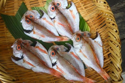 のどぐろの干物 干物,のどぐろ,手作りの写真素材