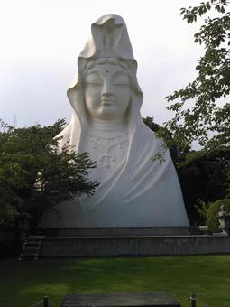 大船観音像　正面 大船観音,白い,微笑みの写真素材