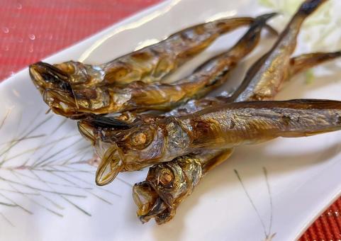 カリカリに焼いたシシャモ カリカリに焼いたシシャモ シシャモ,ししゃも,柳葉魚の写真素材