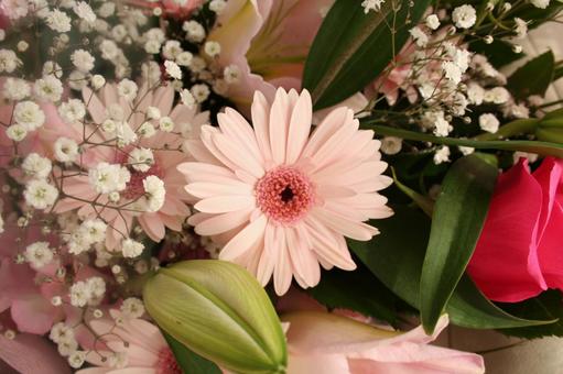 ピンクの花とかすみそう ピンクの花とかすみそう 花,植物,フラワーアレンジの写真素材