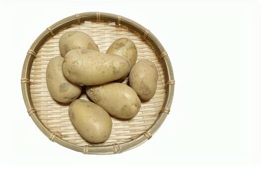 ざるに入ったじゃがいものイメージ じゃがいも,美味しい,被子植物の写真素材