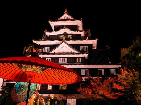 ライトアップされた岡山城天守閣 ライトアップされた岡山城天守閣 岡山城,ライトアップ,烏城灯源郷の写真素材
