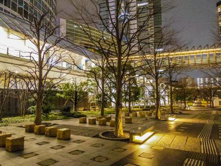 【東京都】品川インターシティ 品川インターシティ,品川セントラルガーデン,夜の写真素材