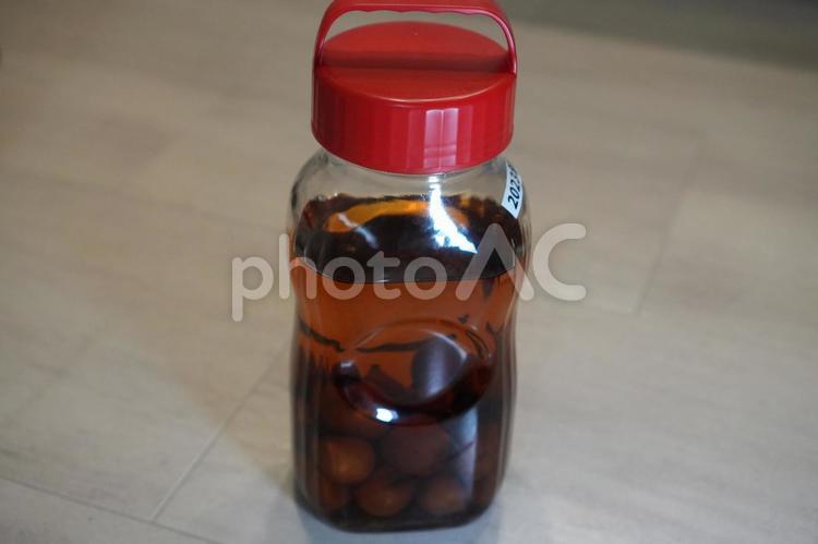 自家製果実酒 自家製,果実酒,リカーの写真素材