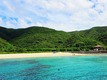 奄美 タエン浜 奄美 タエン浜 奄美,奄美大島,タエン浜の写真素材