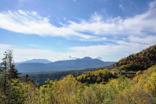 大自然 山奥,自然,山の写真素材