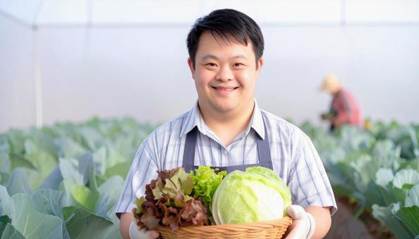 農場で働くダウン症の男性 野菜収穫 農場で働くダウン症の男性 野菜収穫の写真