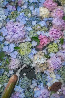 Hydrangea flower water fountain, JPG