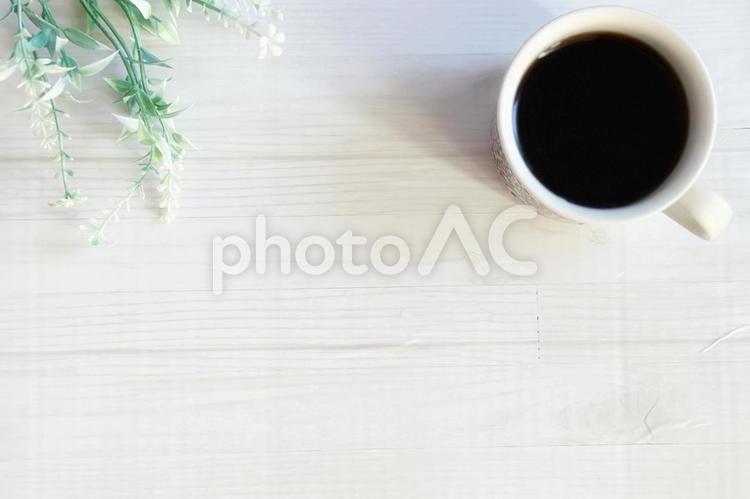 コーヒーと植物のフレーム コーヒー,ミーティング,ビジネスの写真素材