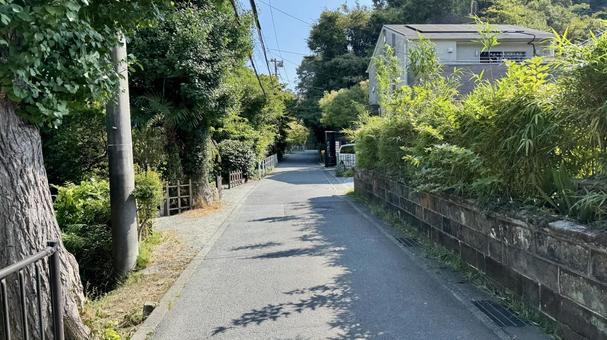 道路 道路 明月院,寺社仏閣,観光の写真素材