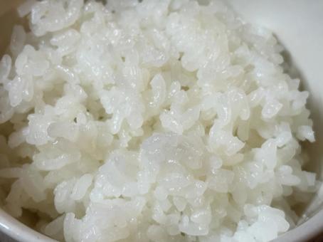 ご飯 ご飯の写真