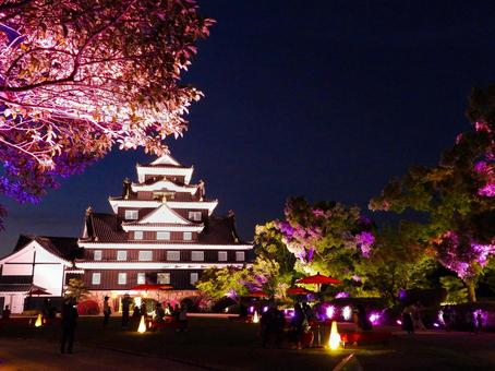 ライトアップされた岡山城天守閣 ライトアップされた岡山城天守閣 岡山城,ライトアップ,夜の写真素材