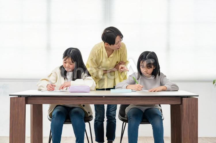 勉強を教える女性 宿題,勉強,家庭教師の写真素材