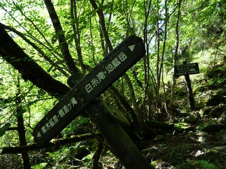鳳凰三山のドンドコ沢登山道 鳳凰三山のドンドコ沢登山道 南精進ヶ滝,鳳凰三山,ドンドコ沢の写真素材