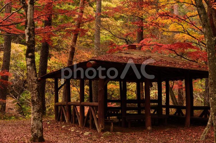 山梨県甲府市　昇仙峡の紅葉 昇仙峡,山梨,紅葉の写真素材