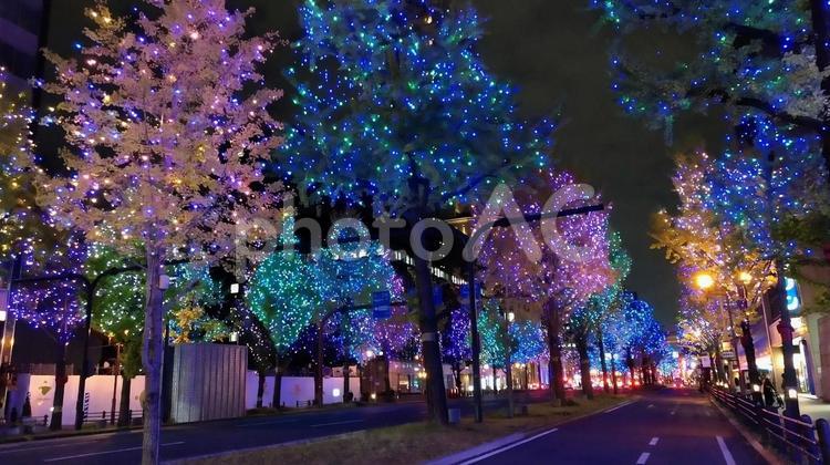 大阪の御堂筋のイルミネーション イルミネーション,風景,ライトアップの写真素材