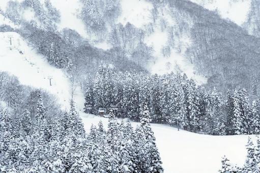 山の雪景色 雪景色,ノルディックスキー,クロスカントリースキーの写真素材