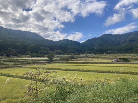 のどかな田園風景 横 のどかな田園風景 横 稲穂,秋,米の写真素材