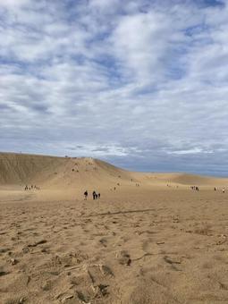 鳥取砂丘 鳥取砂丘,砂丘,日本の写真素材