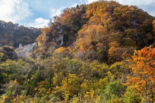 白岩の秋⑿ 秋,紅葉,木々の写真素材