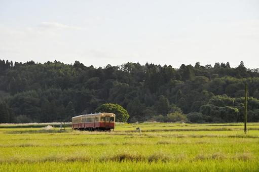 日が傾く頃に 景色,秋,10月の写真素材