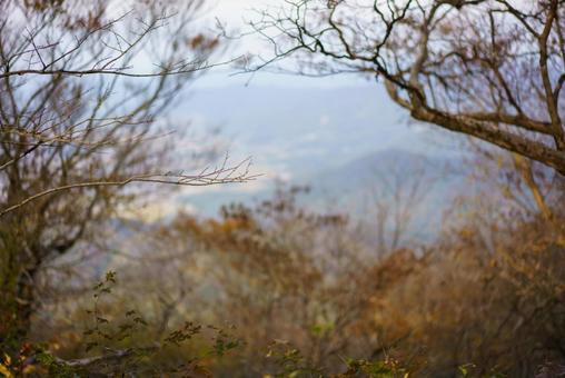 枯れ枝越しの冬の風景 自然,風景,冬景色の写真素材
