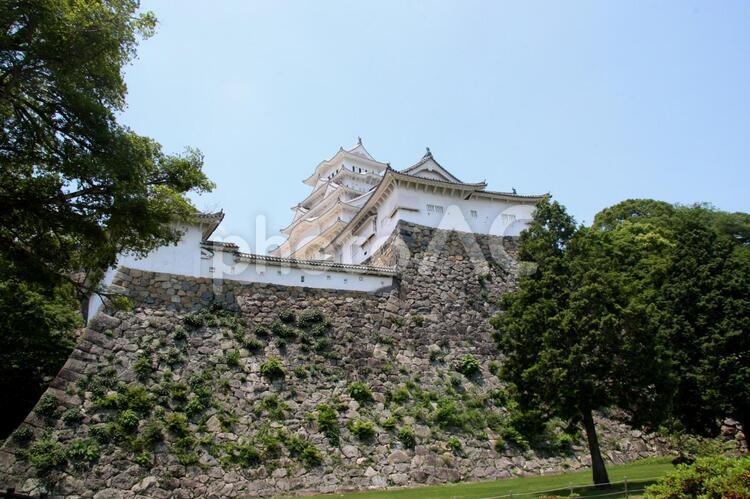 石垣の下から見上げる姫路城 姫路城,見上げる,石垣の写真素材
