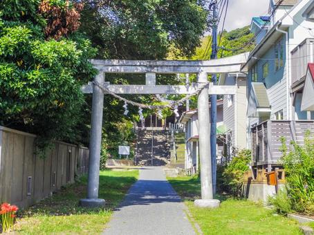 【神奈川県】葉山町・森山神社 【神奈川県】葉山町・森山神社 葉山町,森山神社,神社の写真素材