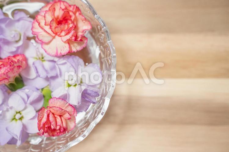 カーネーション　水に入ったお花の文字入れ背景素材 カーネーション,ボタニカルフレーム,余白の写真素材