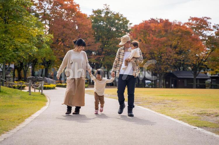 秋の公園で遊ぶ家族・ファミリー 家族,子供,ファミリーの写真素材