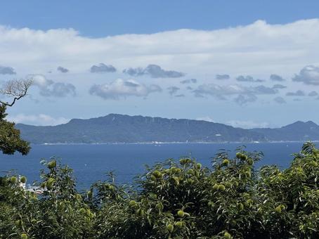 房総半島 房総半島の写真