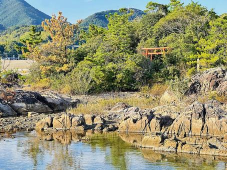 海岸　海 海岸,沿岸,海の写真素材