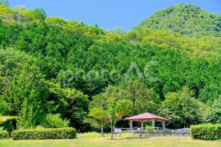 なかやちよの森公園 公園,山,なかやちよの森公園の写真素材