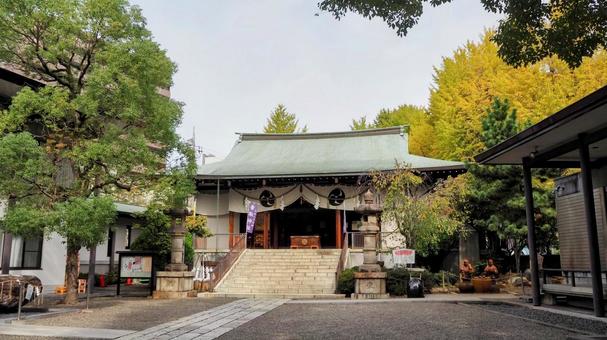 秋の香取神社・本殿&色づく木・江東区亀戸 秋の香取神社・本殿&色づく木・江東区亀戸 秋,香取神社,本殿の写真素材