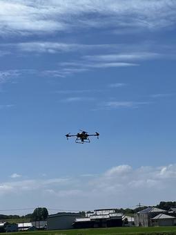 Photo, drone, helicopter shot, pesticide spraying, 