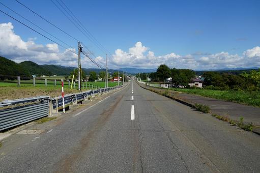 北海道新冠町　サラブレッド銀座の道路 サラブレッド銀座,北海道,牧場の写真素材