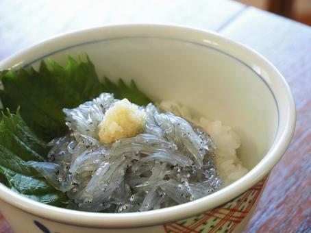 生しらす丼の写真