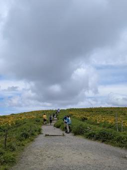 Walking path, JPG