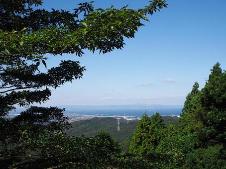 山の中_002の写真