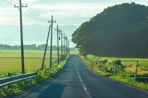 長く伸びた田舎道と夏の朝の風景 長く伸びた田舎道と夏の朝の風景 日本,田舎,夏の写真素材