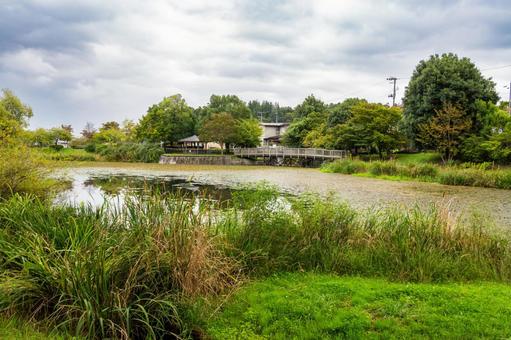 天沼公園の風景⑺ 天沼公園の風景⑺の写真