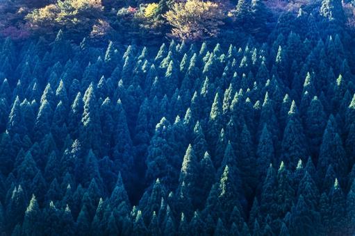 山間の紅葉4 山間の紅葉4の写真
