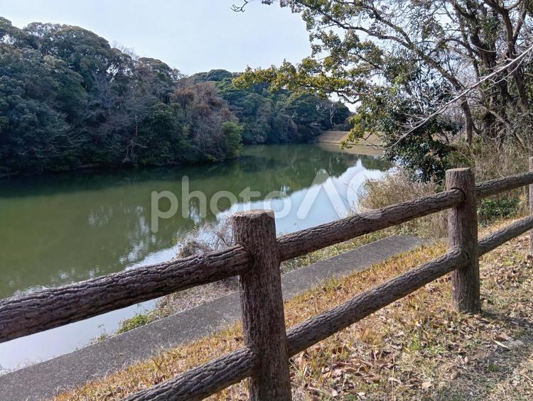 池のある公園 池,公園,日本の写真素材