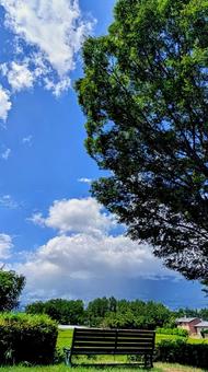 夏の青空と木陰のベンチ 空,青空,雲の写真素材