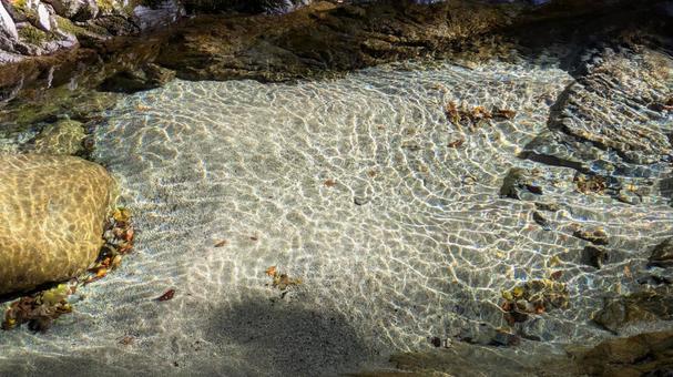 きらめく水のキャンバス さざなみ,波紋,水面の写真素材
